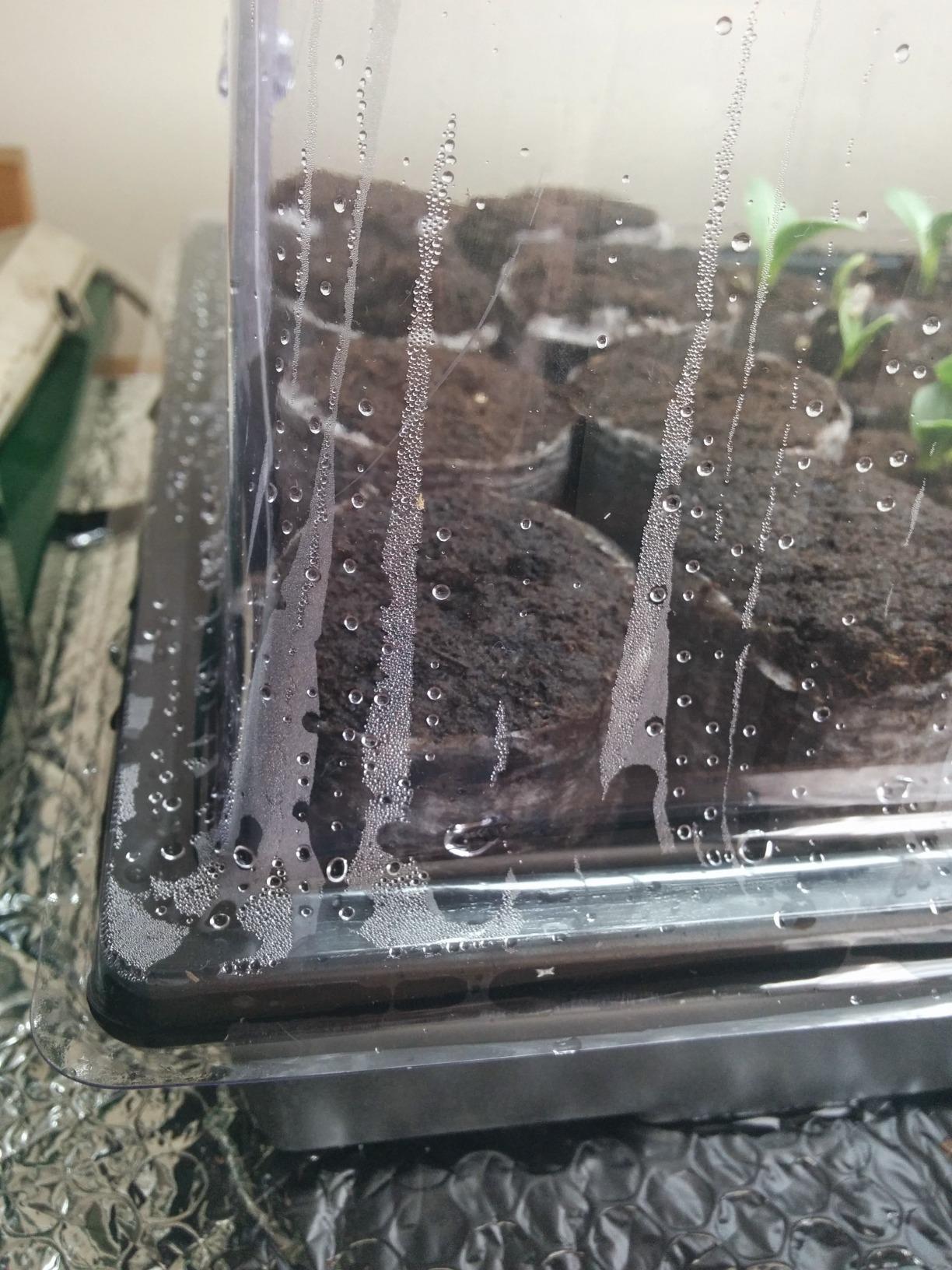 Jump Start CK64060 Germination Hot House, 17W Heat Mat & 7 in Dome customer photo 1