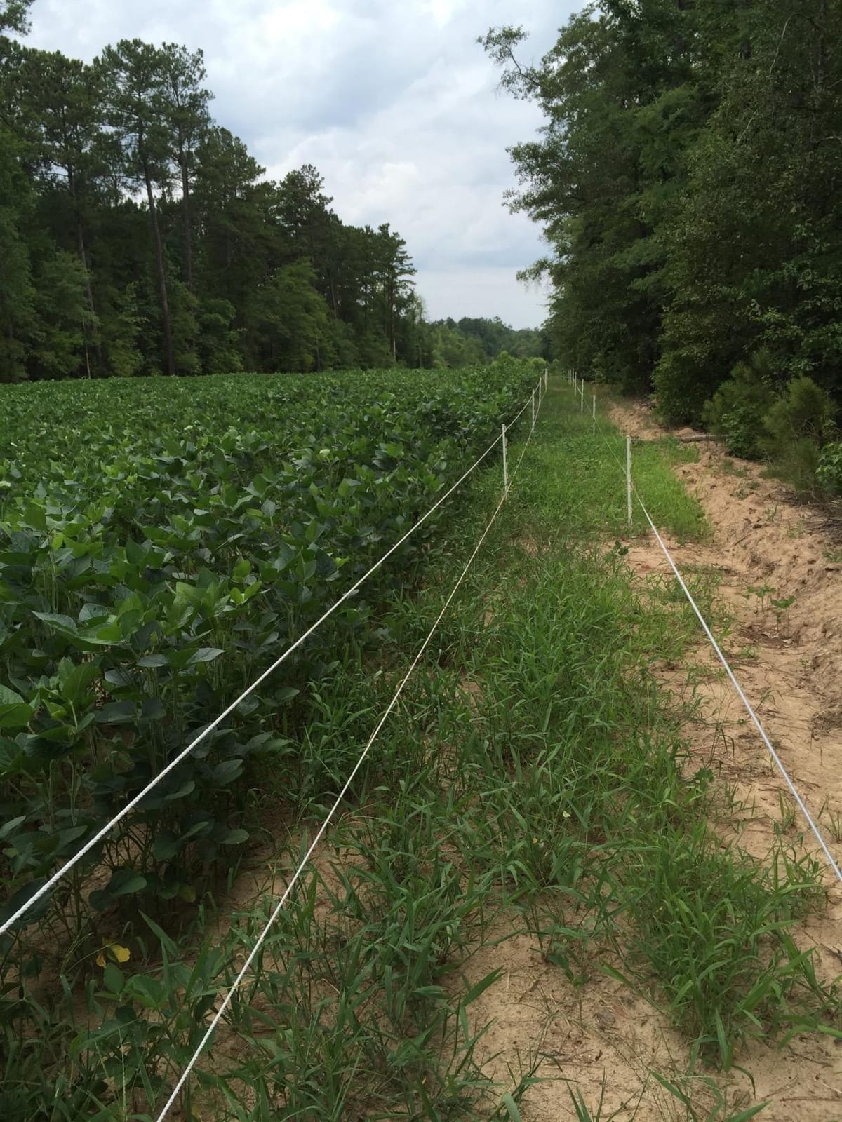 Parmak Magnum Solar-Pak 12 Low Impedance 12 Volt Battery Operated 30 Mile Range Electric Fence Charger MAG12-SP customer photo 2