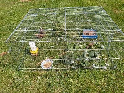 Trixie Rabbit Cage - 34 cu. ft., Outdoor Pen Extends Rabbit Hutch and Chicken Coops, Ideal for Small Animals, Bunny, Guinea Pigs, Chickens customer photo 2