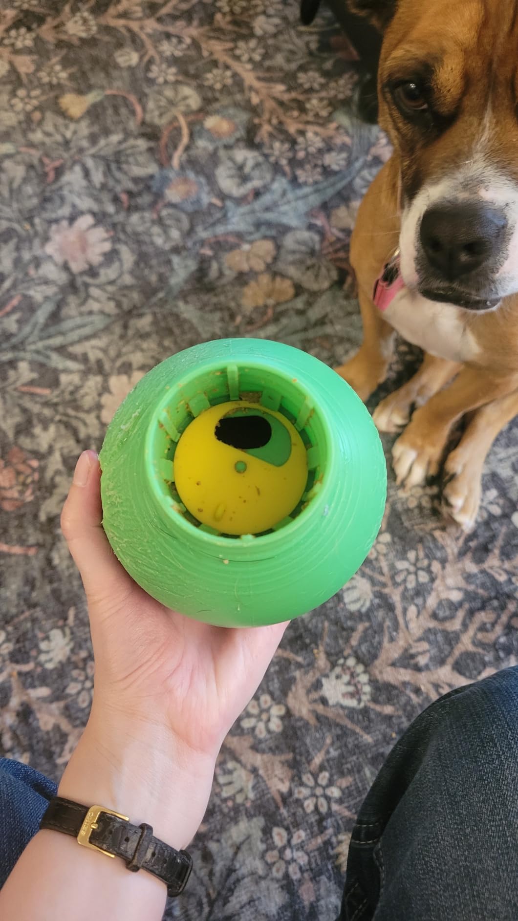 Starmark Bob-A-Lot Interactive Dog Pet Toy, Large, Yellow/Green/Purple customer photo 2
