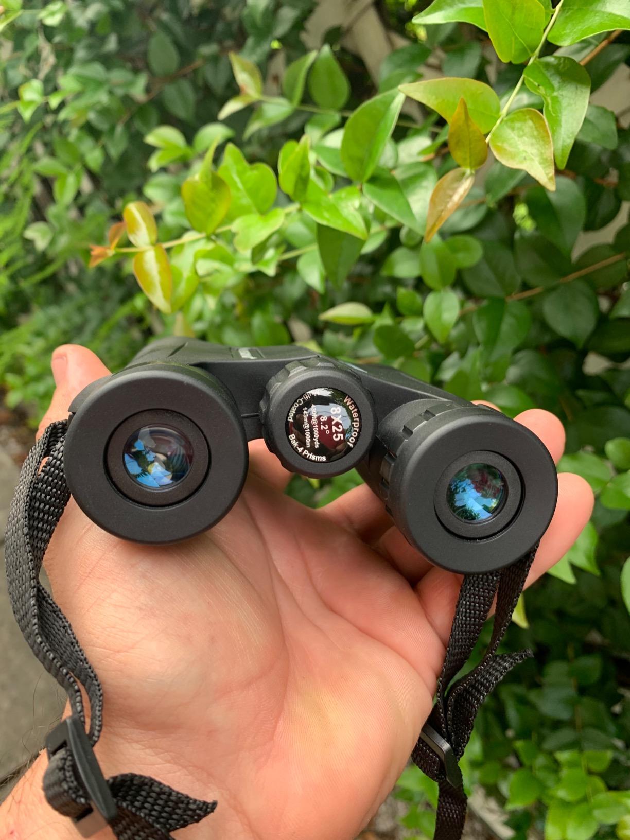 Celestron Outland X 8x25 Pocket Binoculars for Travel & Sports customer photo 2