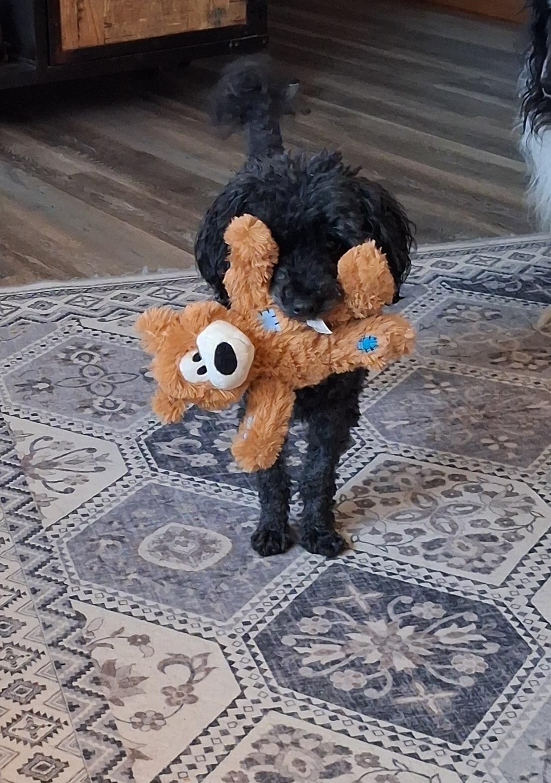 Kong Wild Knots Bear, Knotted Rope Plush Toy, for Medium/Large Dogs customer photo 2