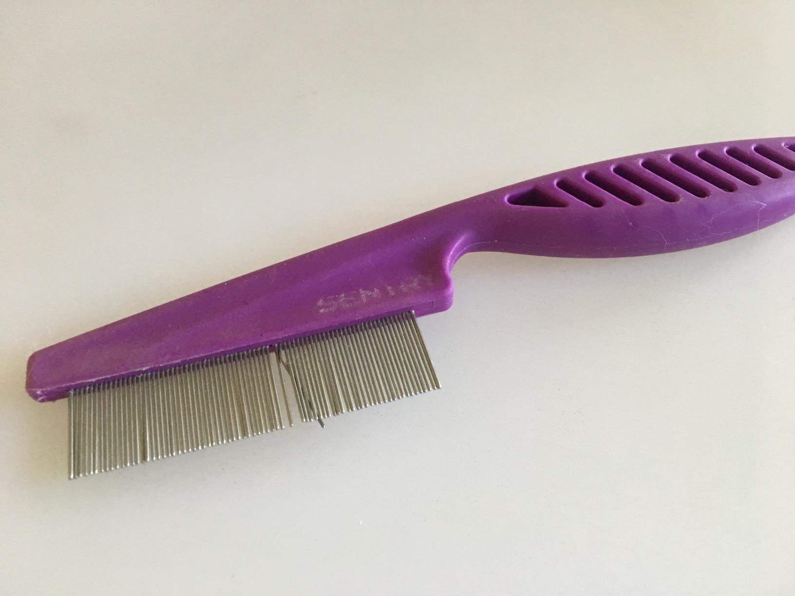 SENTRY Flea Comb for Cats customer photo 1