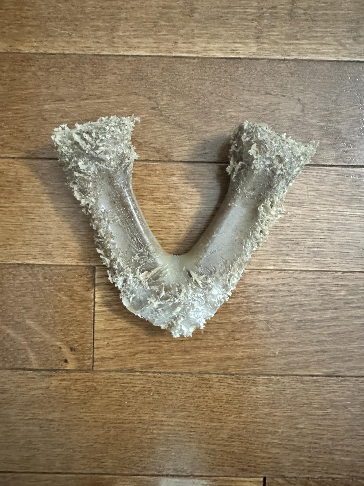 Benebone Wishbone Durable Dog Chew Toy for Aggressive Chewers, Real Bacon, Made in USA, Medium customer photo 1