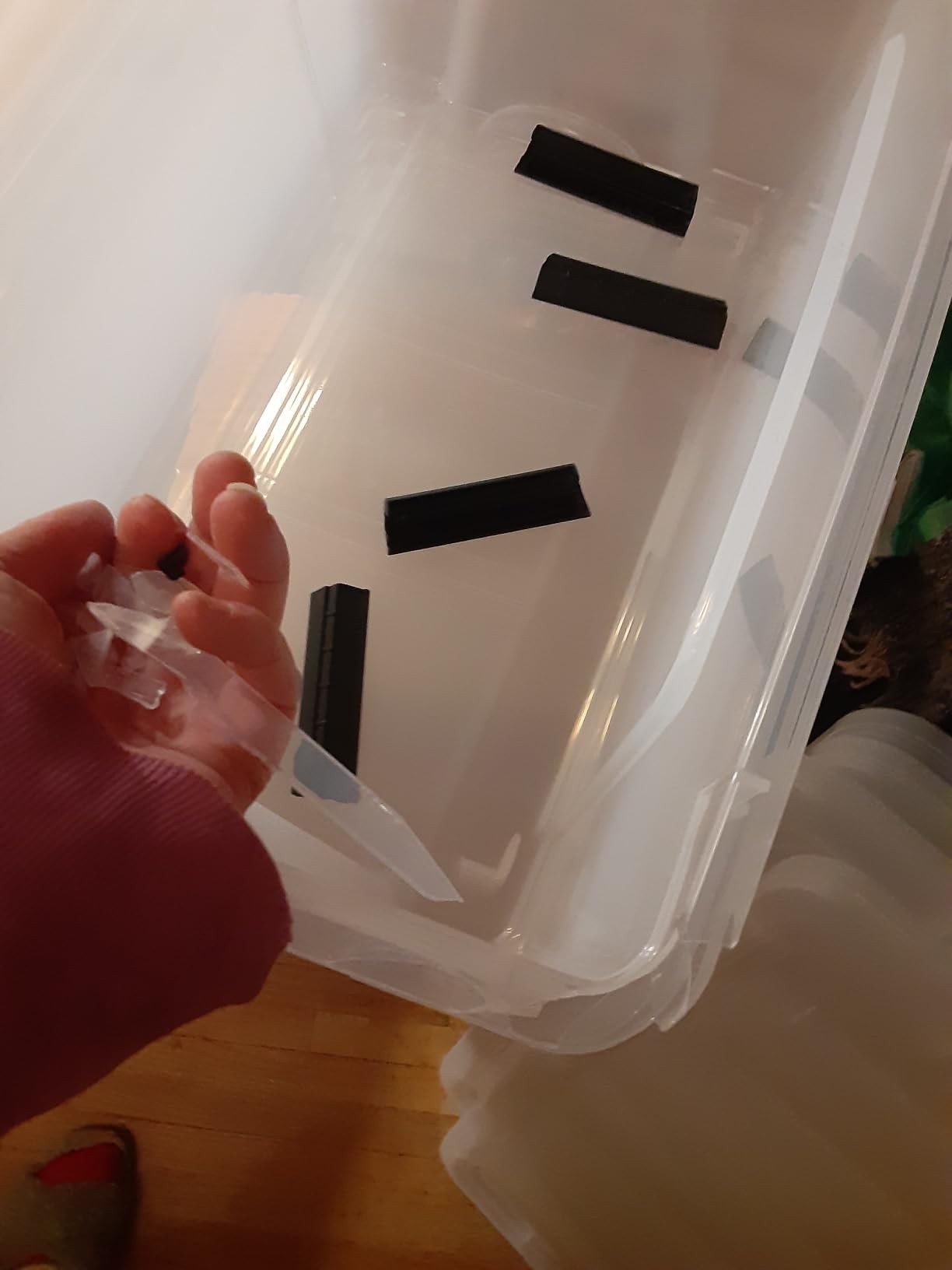 IRIS USA 6-Pack 54 Quart Storage Bins with Lids, Clear customer photo 2