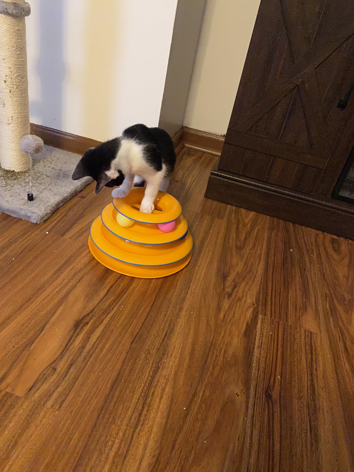 Catstages Tower of Tracks Interactive Cat Toy, 6 Spinning Balls, 10