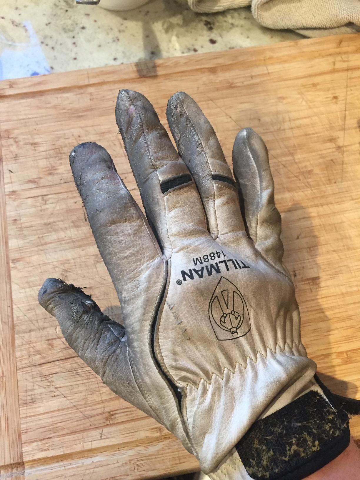 Tillman Medium 11