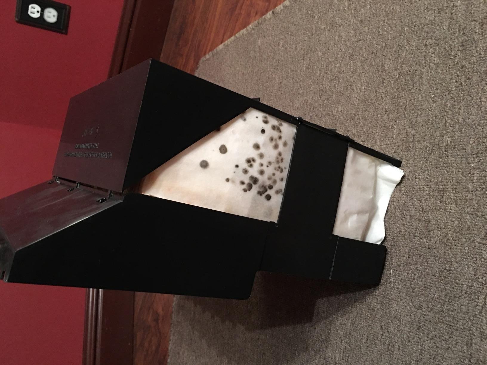 AIRCARE Digital Whole-House Pedestal-Style Evaporative Humidifier (Espresso) customer photo 2