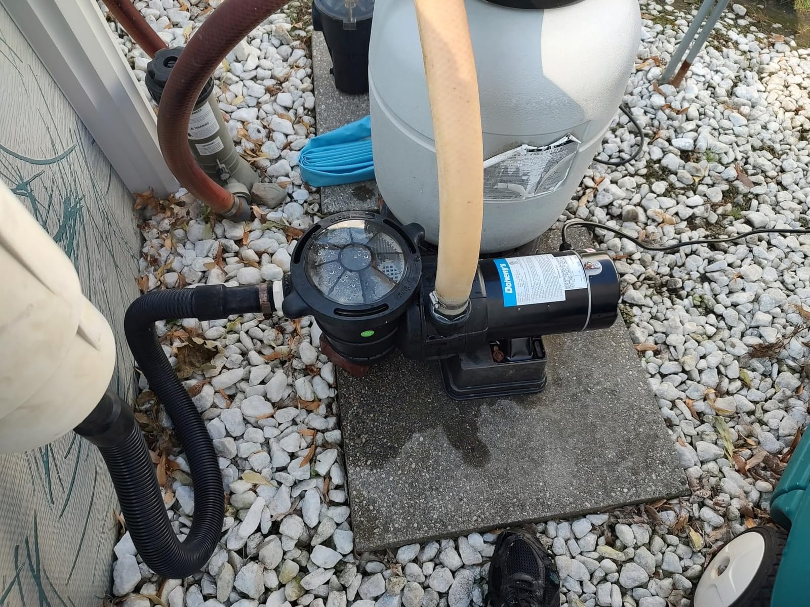 Doheny's 1 HP Above Ground Swimming Pool Pump, 115V, 75 GPM customer photo 1