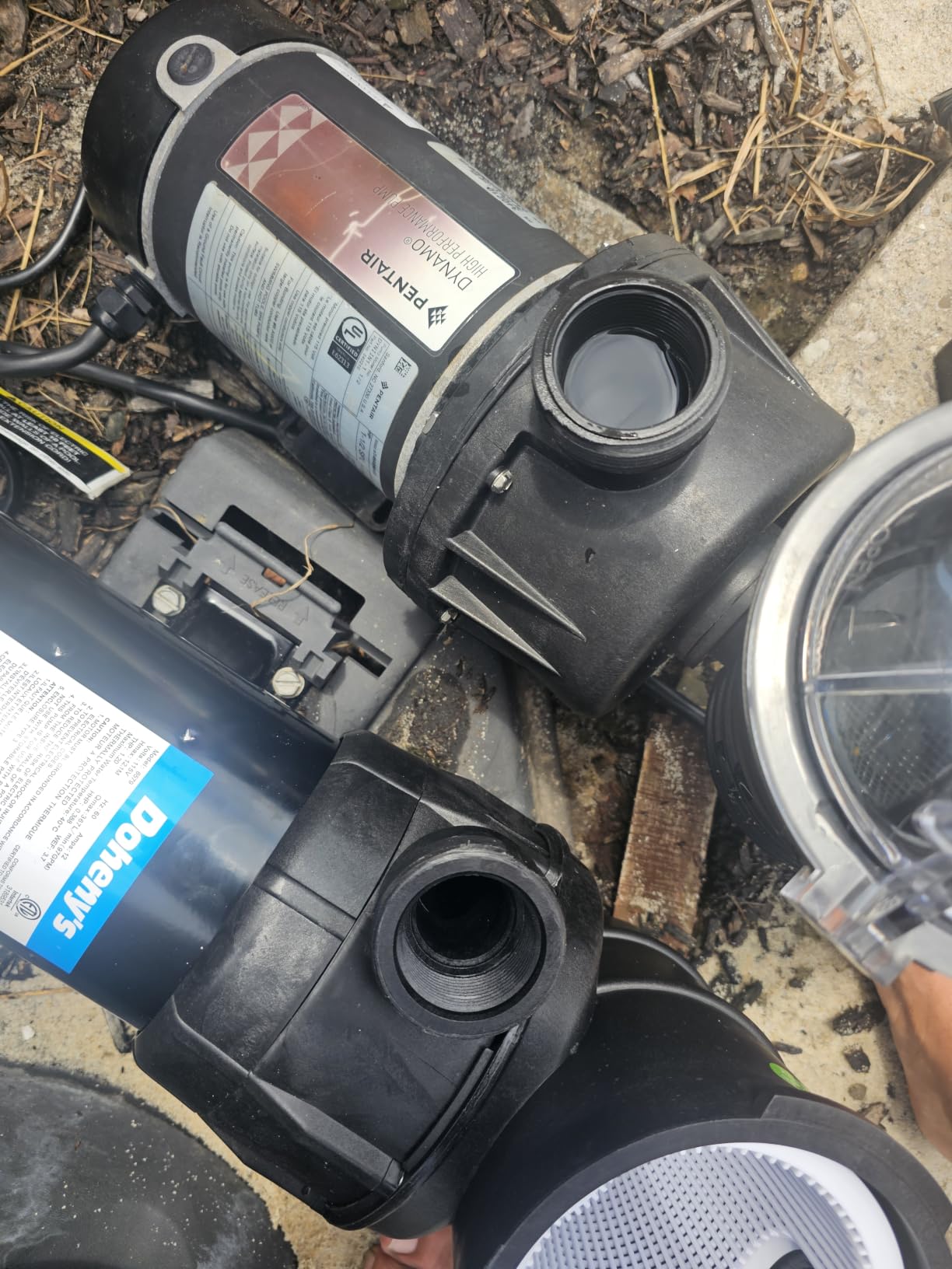 Doheny's 1.5 HP Above Ground Swimming Pool Pump | 115V, 83 GPM (1.2 THP), Stainless Steel Shaft, Reinforced Thermoplastic, Low-Noise, High-Efficiency customer photo 2