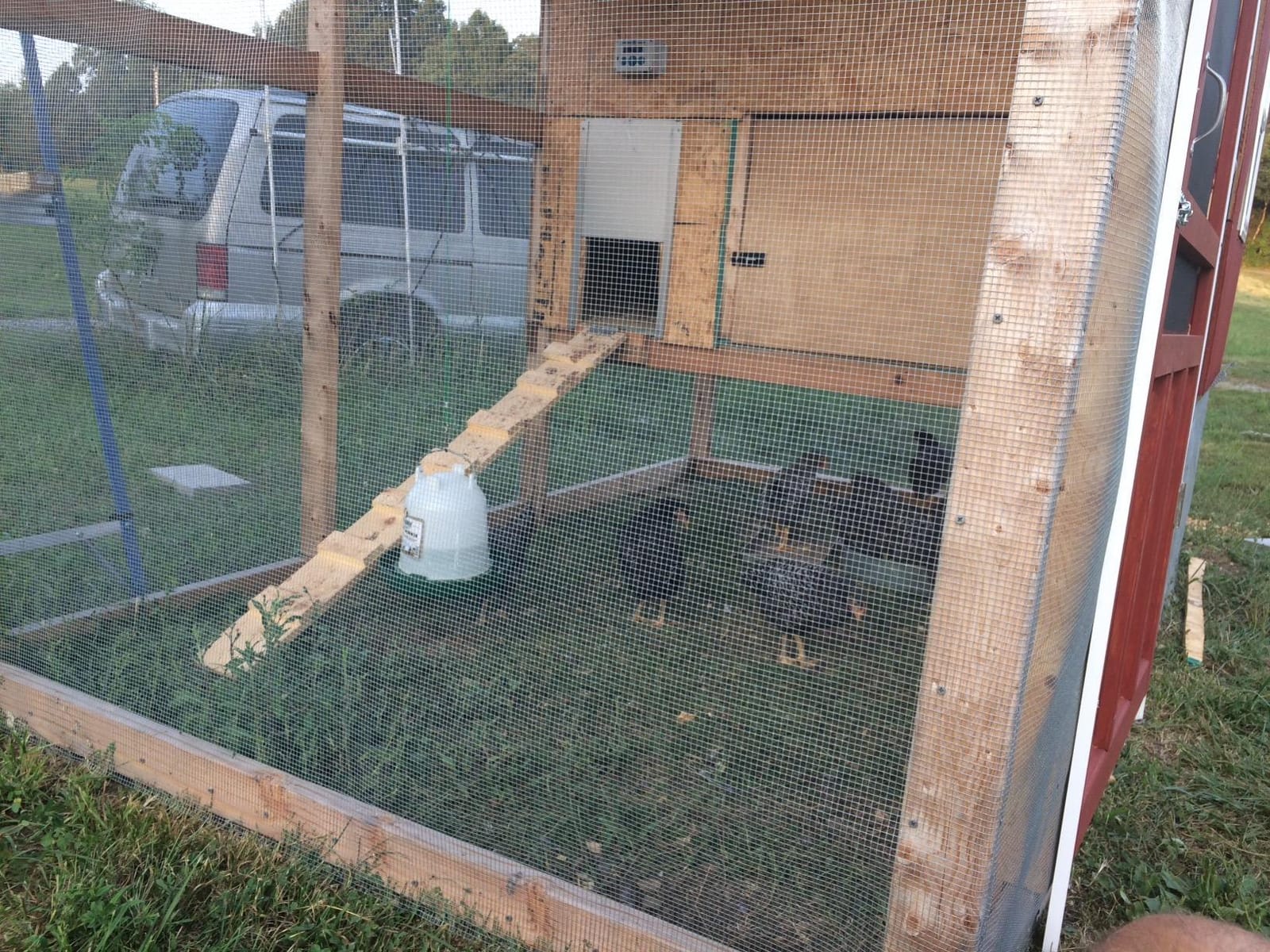 ChickenGuard Automatic Chicken Coop Door Openers, Timer/Light-Sensor, Auto-Stop Safety Feature (Standard) customer photo 2