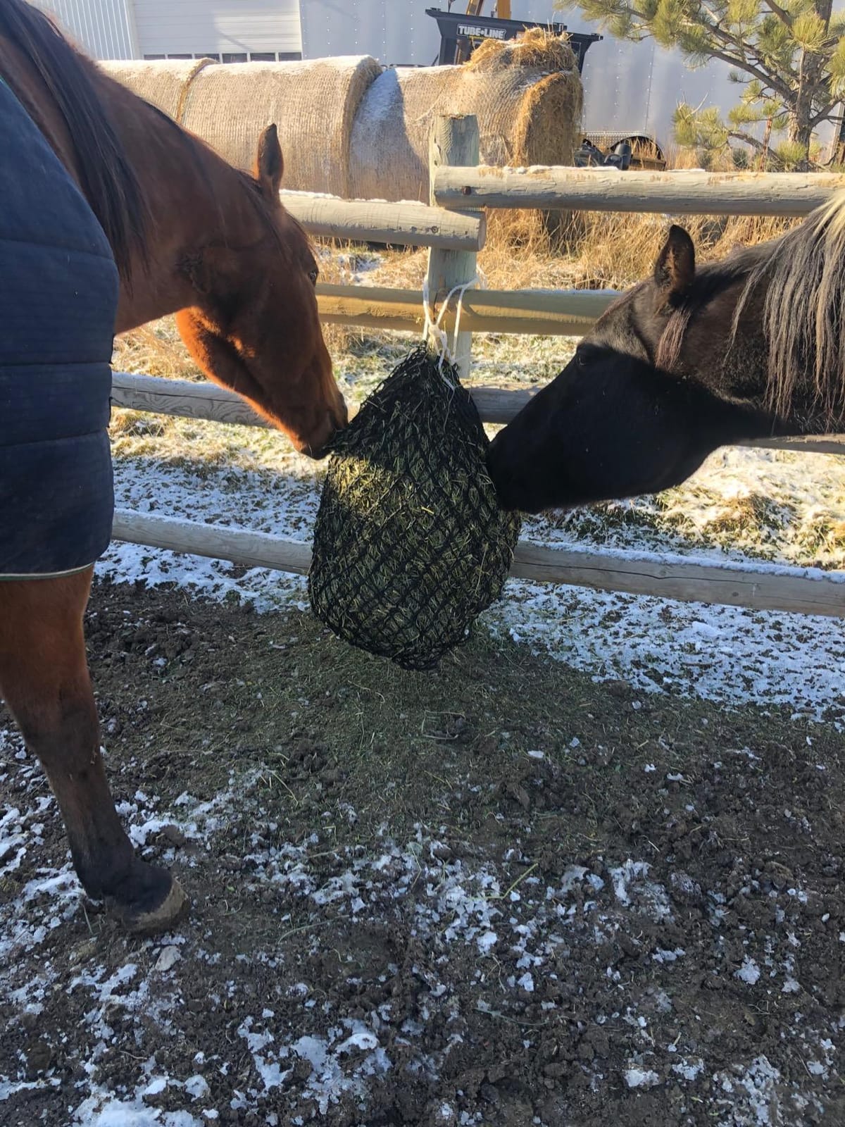 Weaver Equine Slow Feed Hay Net 36in Black customer photo 2