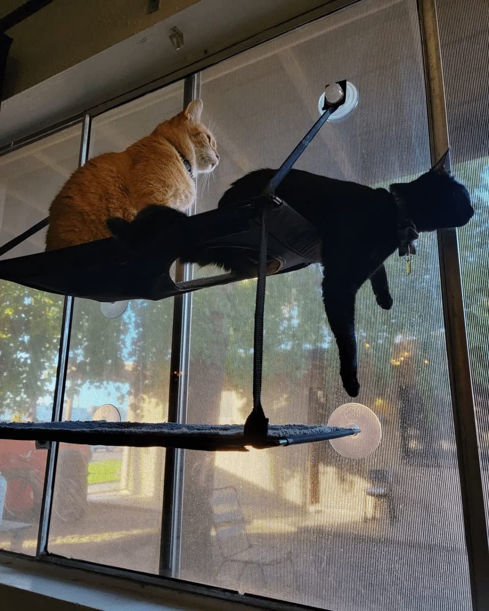 K&H Cat Window Perch, EZ Mount Double Stack Kitty Sill For Large Cats, Gray customer photo 1