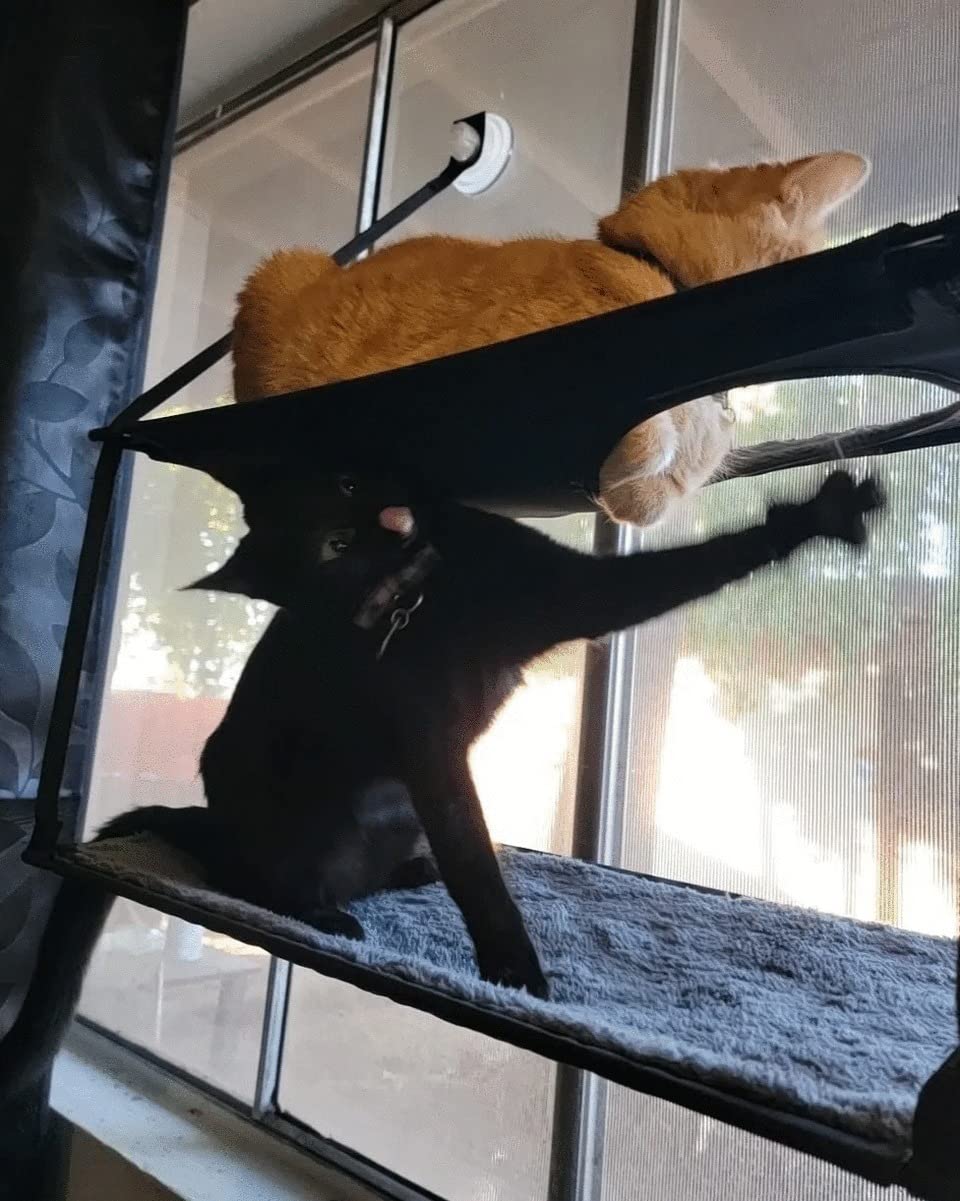 K&H Cat Window Perch, EZ Mount Double Stack Kitty Sill For Large Cats, Gray customer photo 2