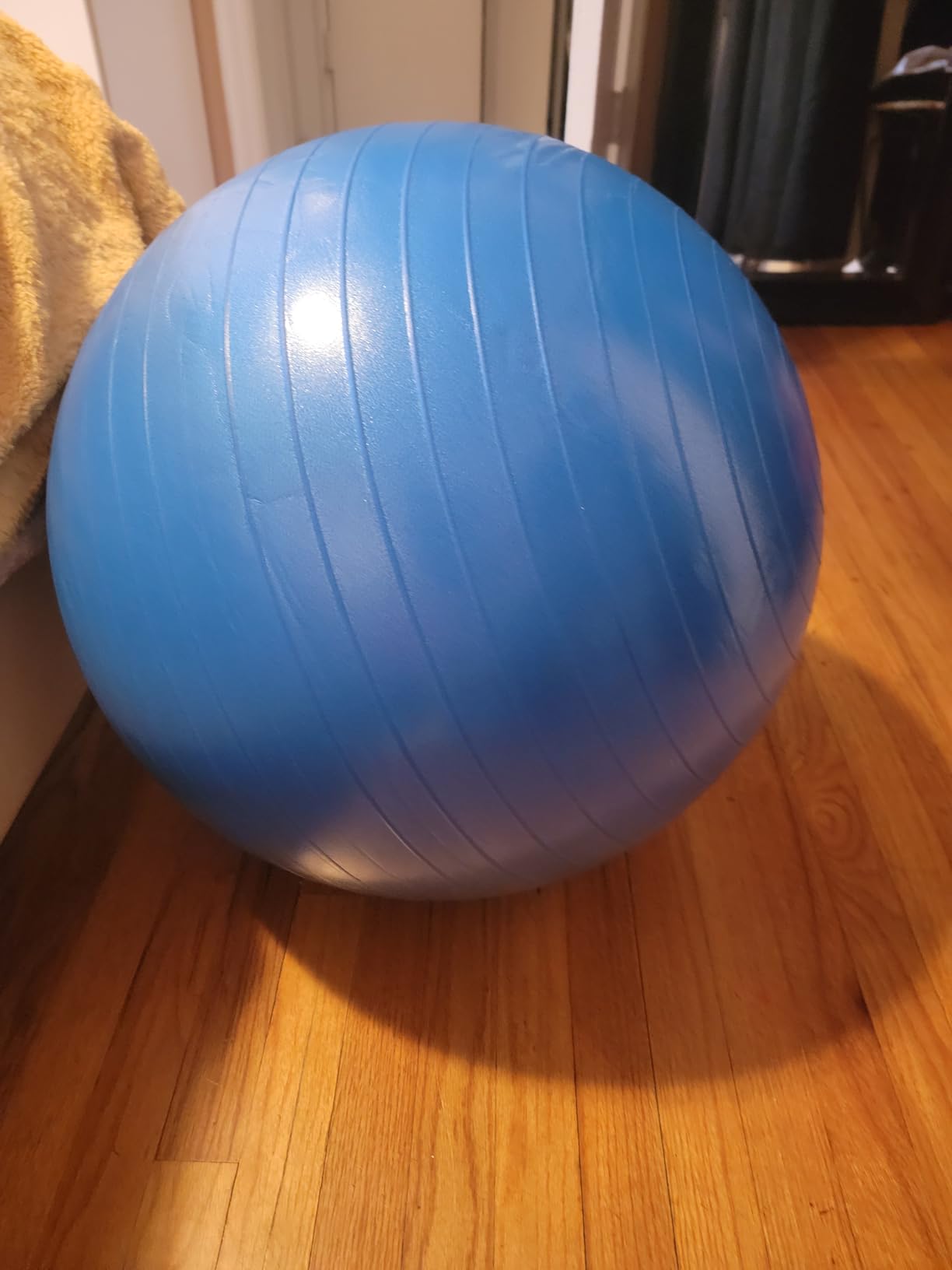 ProBody Pilates Yoga Ball - Gym Grade Exercise Ball customer photo 1