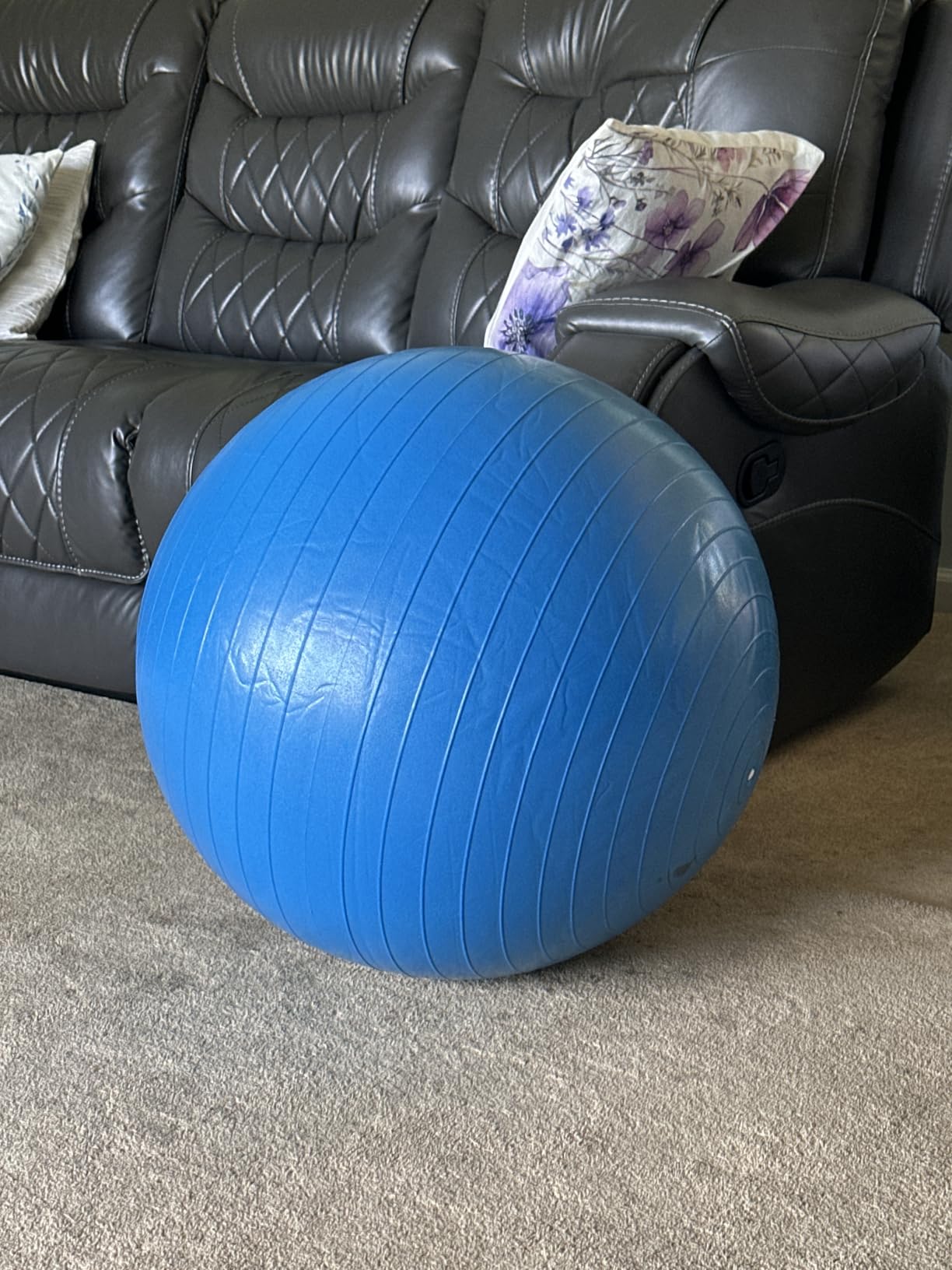 ProBody Pilates Yoga Ball - Gym Grade Exercise Ball customer photo 2