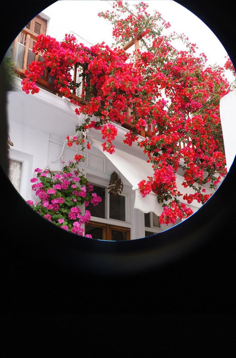 USCAMEL Compact Binoculars for Adults 8x21: Small Binoculars for Travel customer photo 1