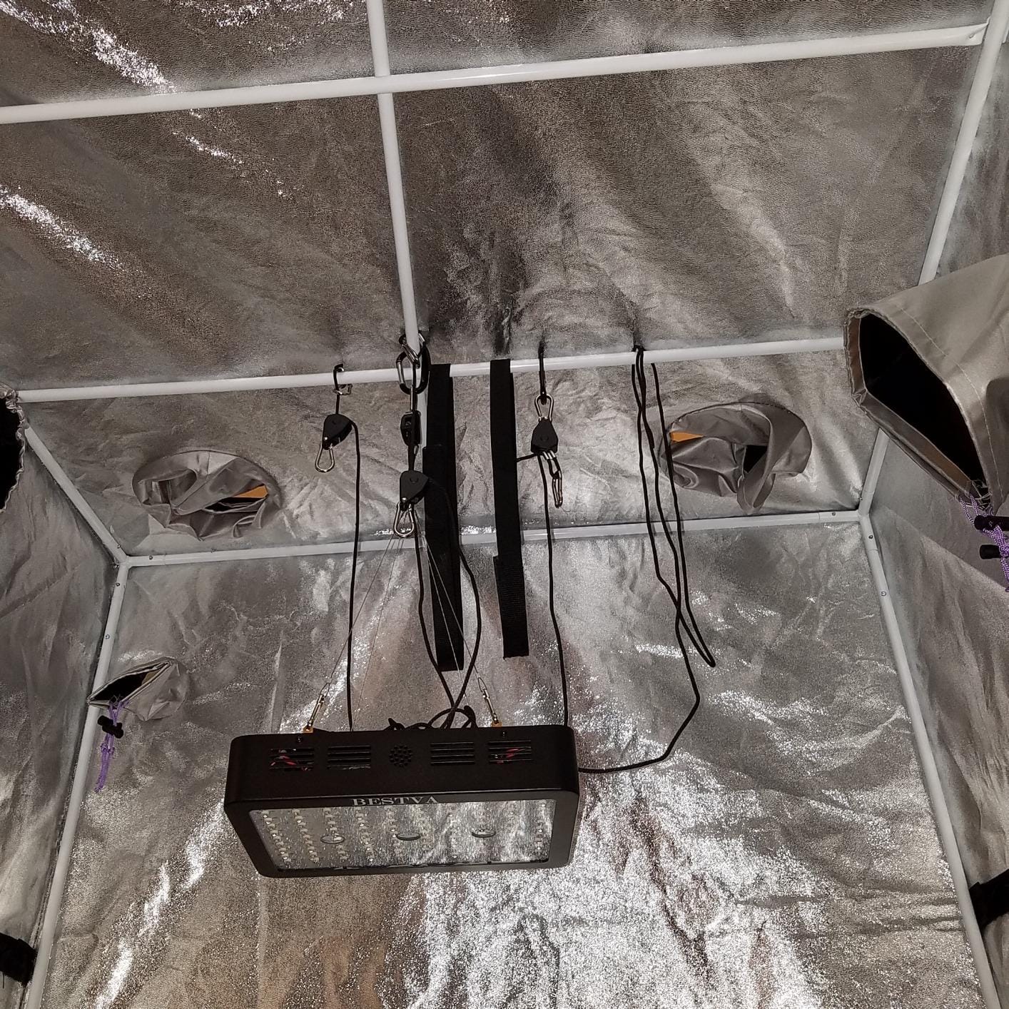 BESTVA DC1000 Grow Light for Indoor Plants, Full Spectrum LED Plant Light customer photo 1