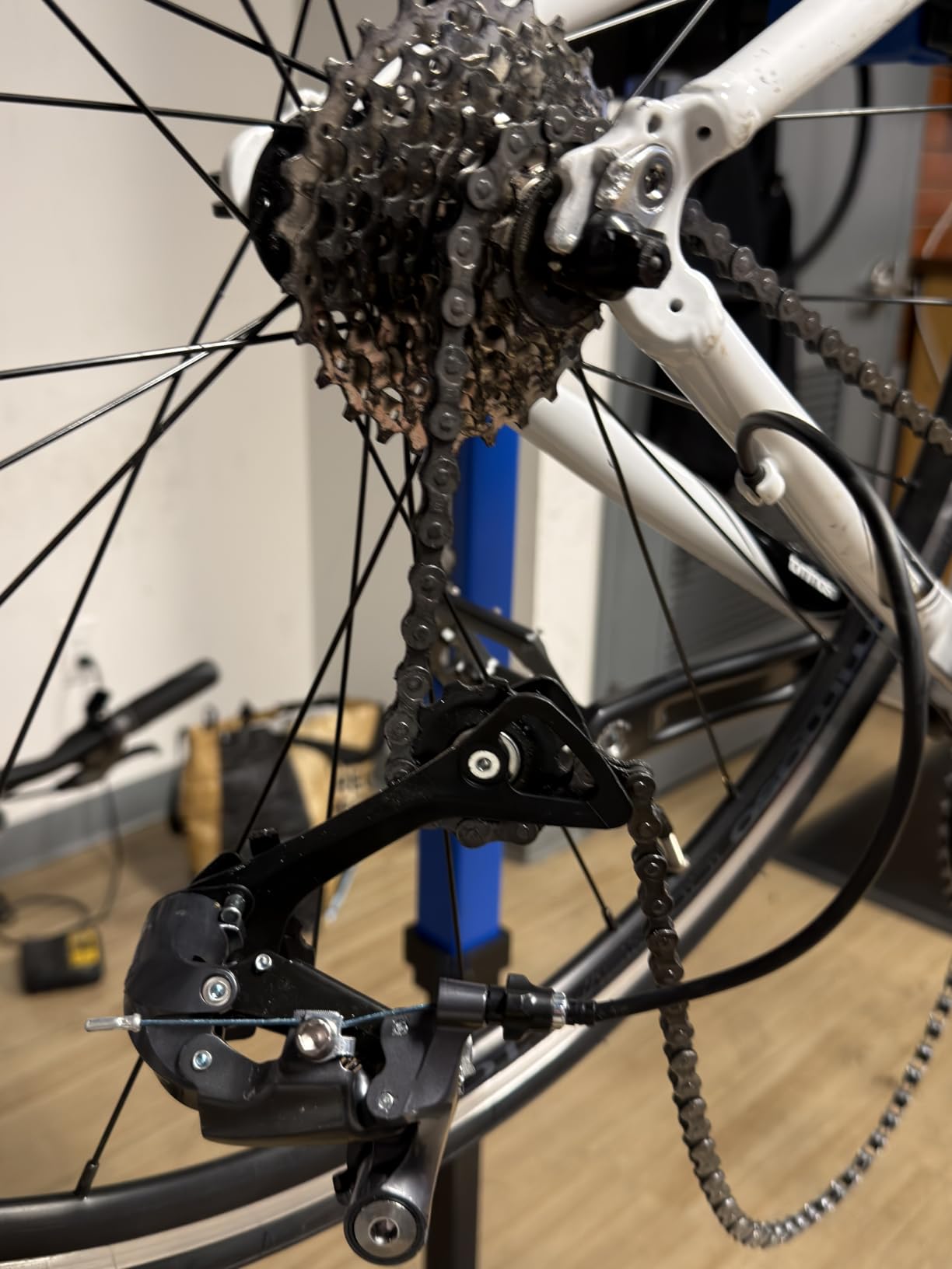 Tommaso Imola - Sport Bike Performance Aluminum Road Bike, Shimano Claris 24 Speeds Road Bicycle Men Road Bikes for Mens customer photo 1