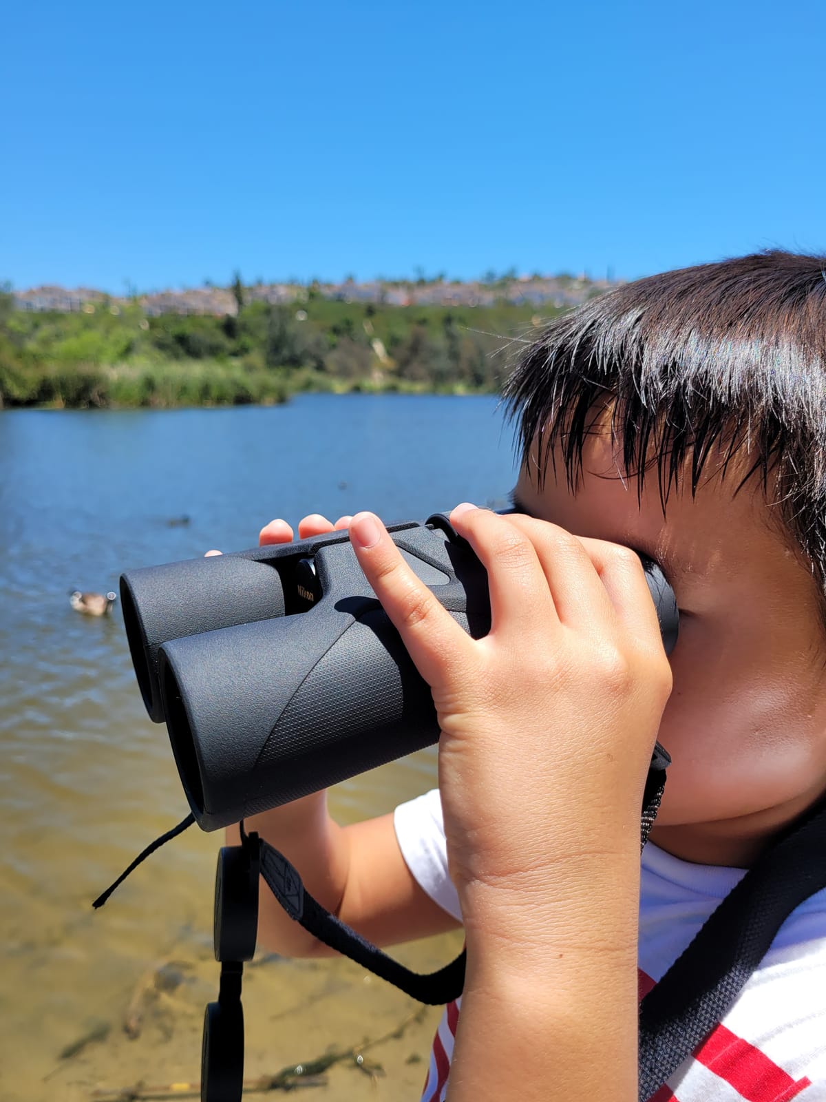 Nikon PROSTAFF 3S 10x42 customer photo 1