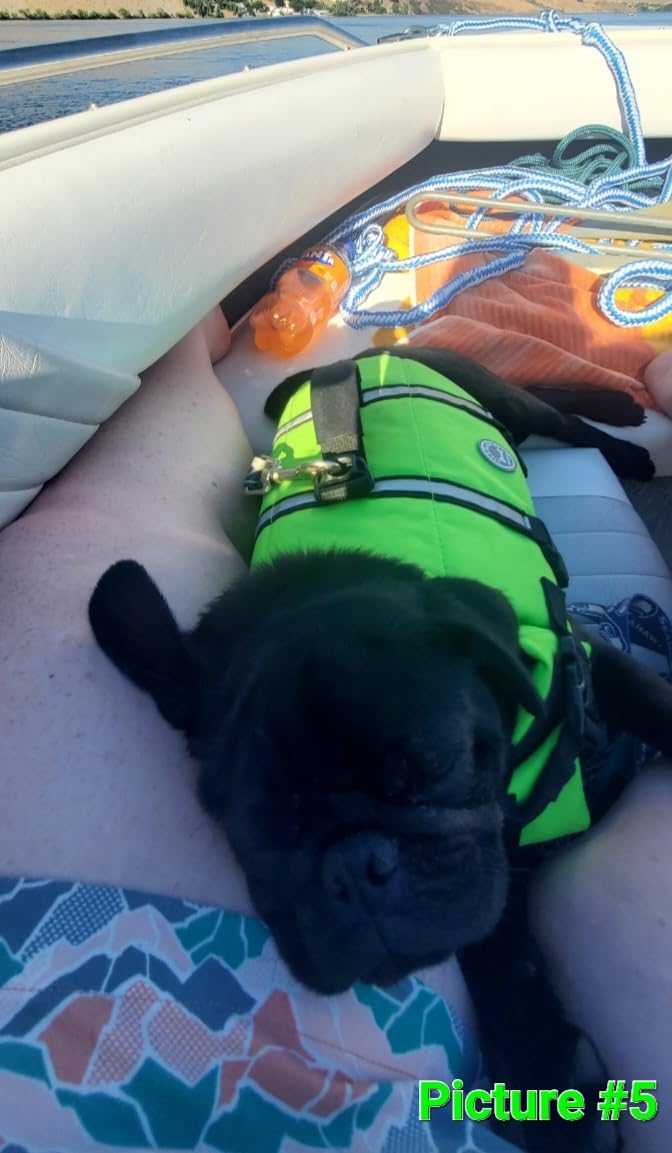 VIVAGLORY Dog Life Vest Rip Stop Dog Swim Vest, M, Bright Yellow customer photo 2