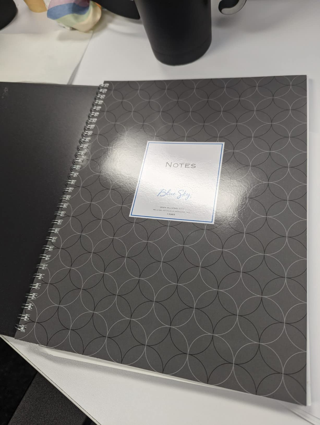 Blue Sky Smart Notes Professional Notebook, Wire-O Binding, 8.5