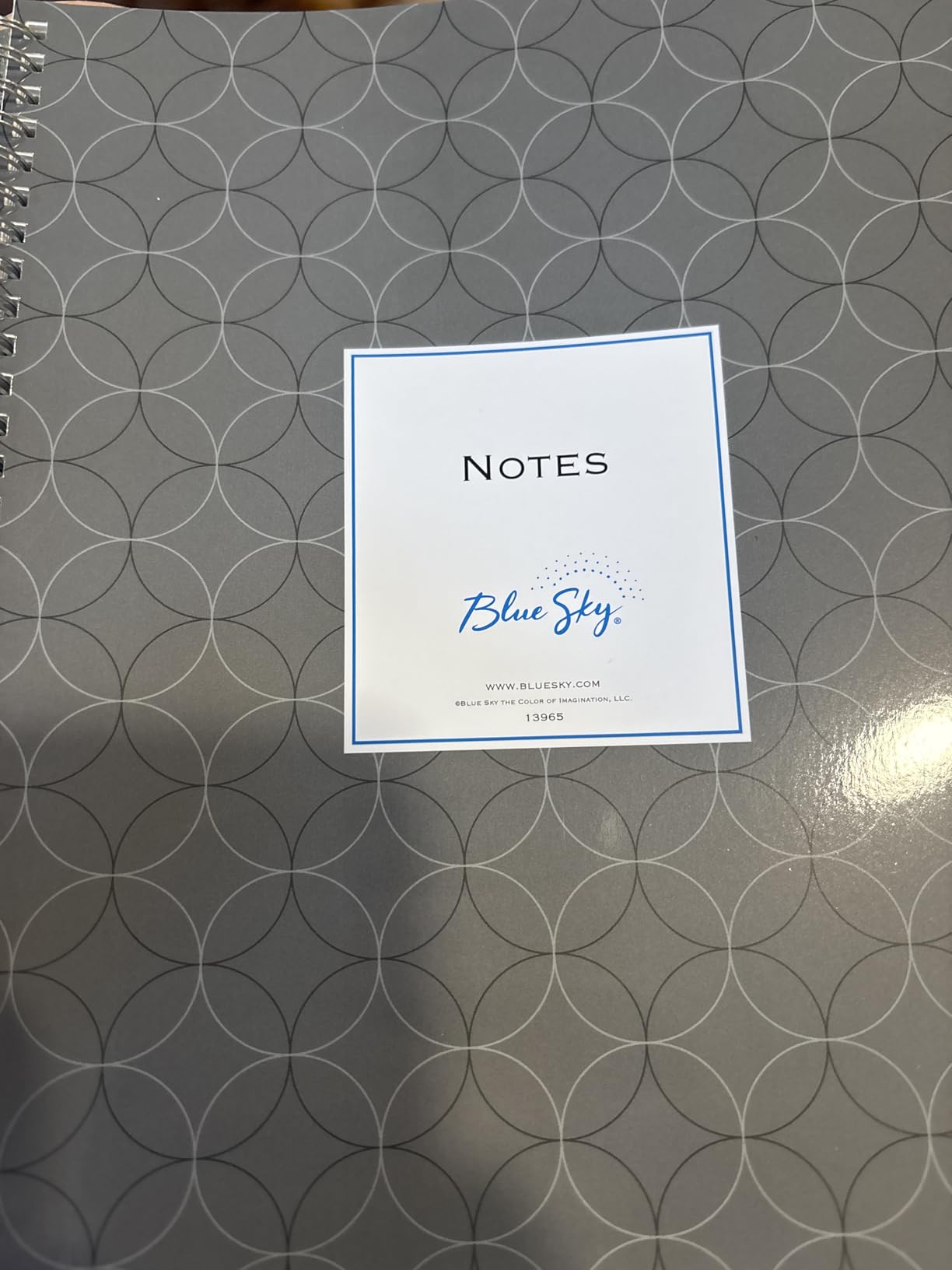 Blue Sky Smart Notes Professional Notebook, Wire-O Binding, 8.5