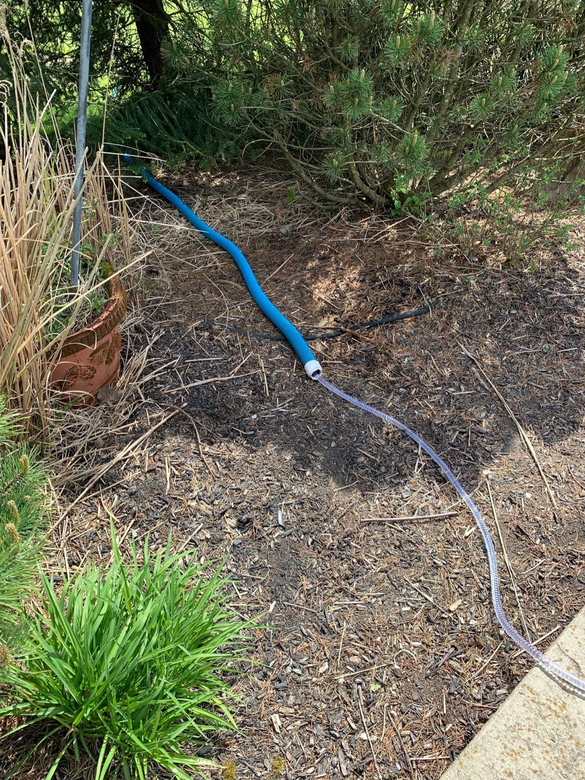 FibroPool Pool Cover Pump - 75W 10 GPM 120V - 16 ft Hose - ABS Plastic customer photo 1