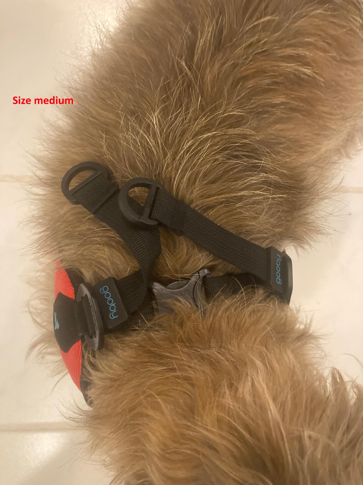 Gooby Escape Free Easy Fit Dog Harness, Step-in, Turquoise, Small customer photo 2