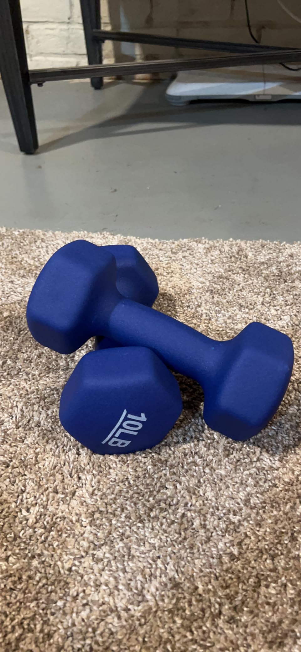 Amazon Basics Neoprene Dumbbell Hand Weights for Exercise and Muscle Toning customer photo 1