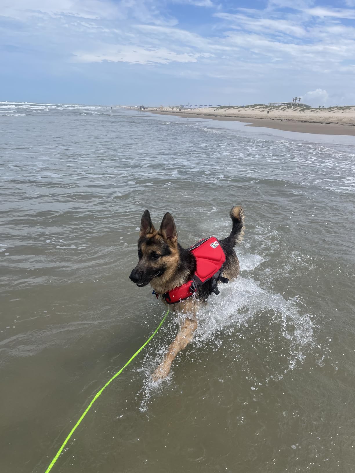 Outward Hound Dawson Swim Dog Life Jacket, Life Vest, Red, Large customer photo 1