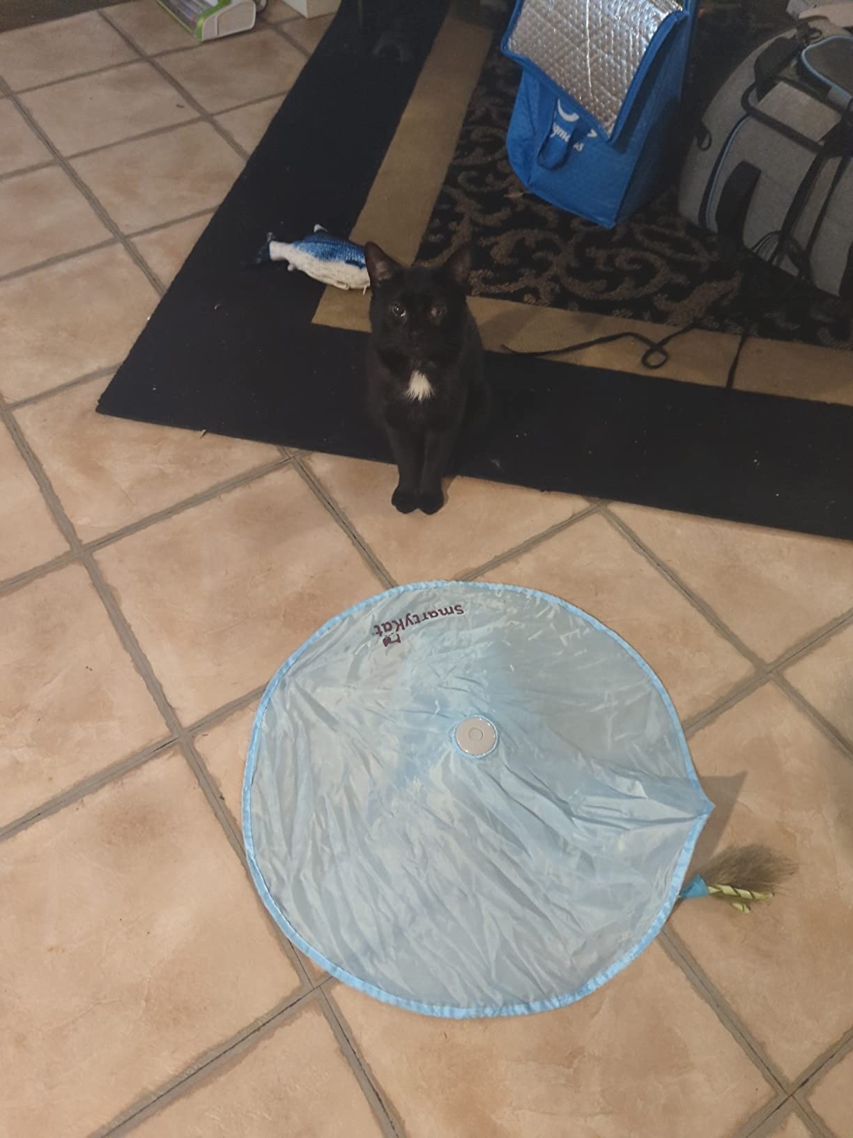 SmartyKat Electronic Motion/Moving Toys for Cats & Kittens, Battery Powered, Mimics Motion of Real Prey, Fun & Interactive Play - Multiple Styles customer photo 1