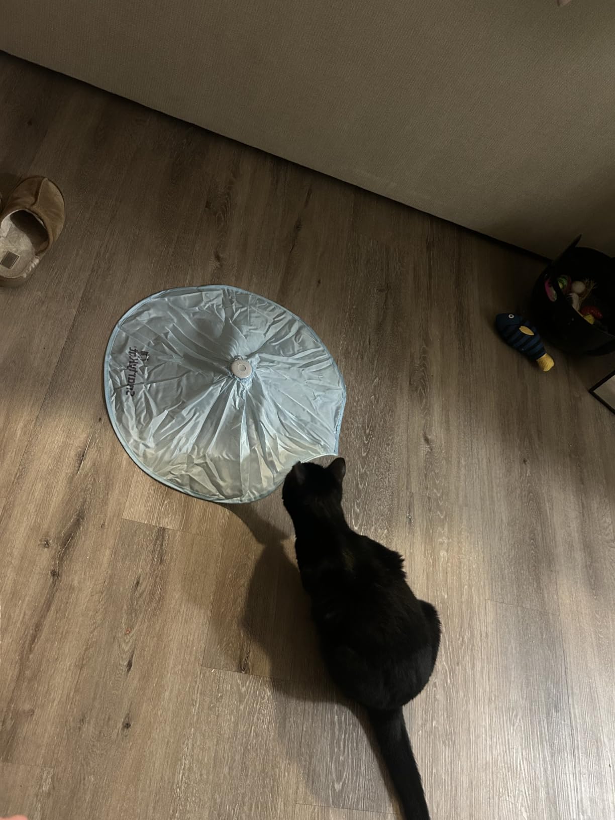 SmartyKat Electronic Motion/Moving Toys for Cats & Kittens, Battery Powered, Mimics Motion of Real Prey, Fun & Interactive Play - Multiple Styles customer photo 2