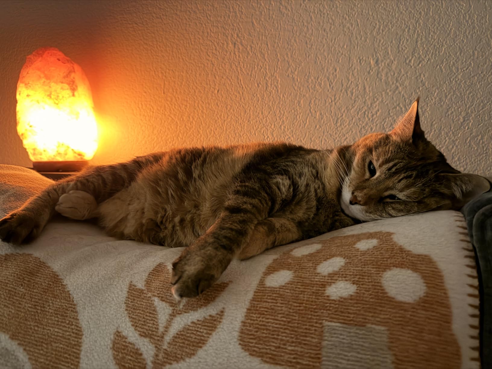 Himalayan Salt Lamp for Bedroom Large 6–8 Inch Pink Salt Rock Lamp with Dimmer, Wooden Base & Spare Bulbs | Calming Ambient Night Light | Thoughtful Wellness Gift for Women, Home, or Office customer photo 1