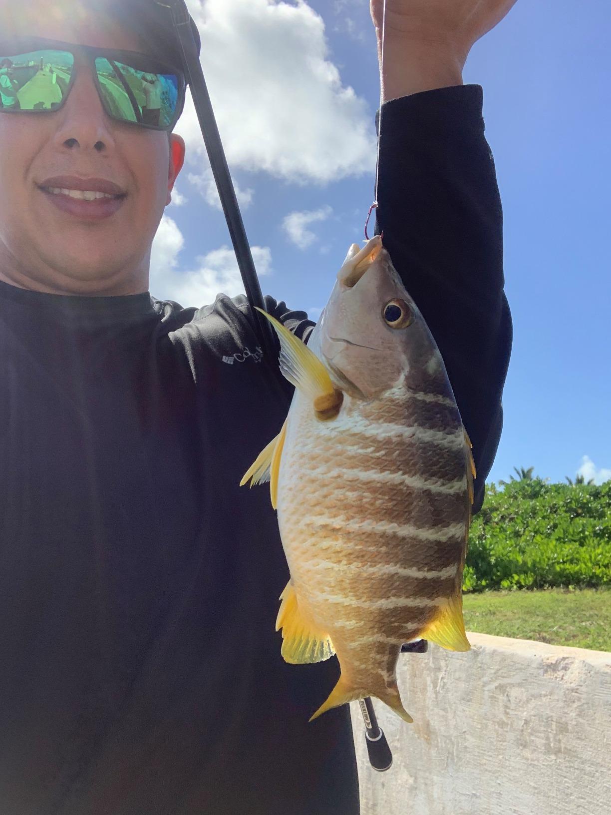 KastKing Perigee II Spinning & Casting Fishing Rods customer photo 2