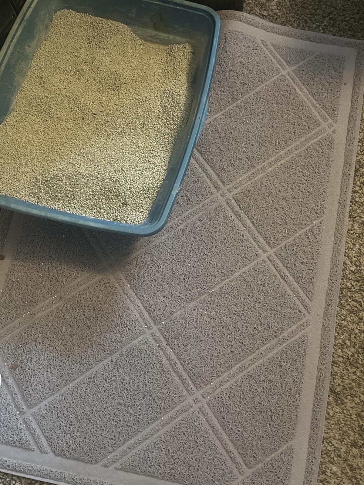 Amazon Basics Less-Mess Litter Trapping Cat Litter Box Mat, Soft on Kitty Paws, Waterproof, Scatter Control, 24