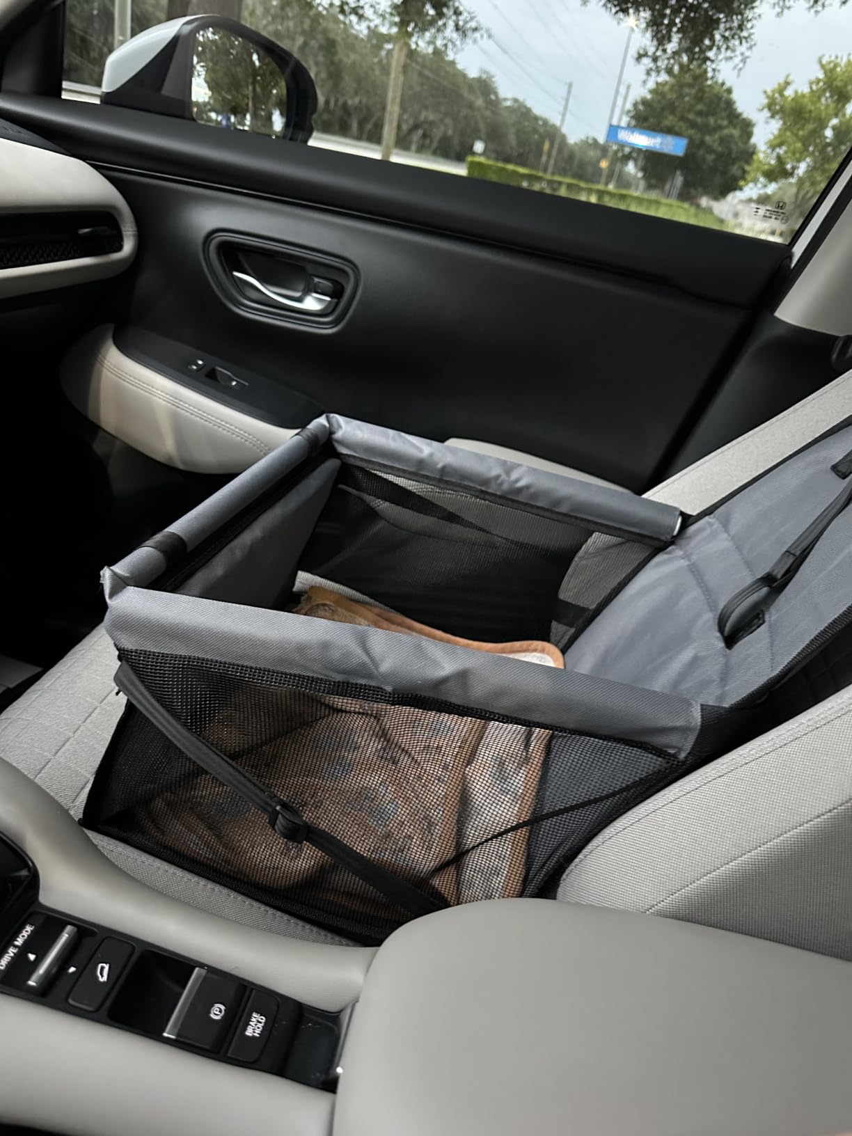 Petbobi Dog Car Seat for Small Dogs and Cats up to 15 lbs, Portable Booster customer photo 1