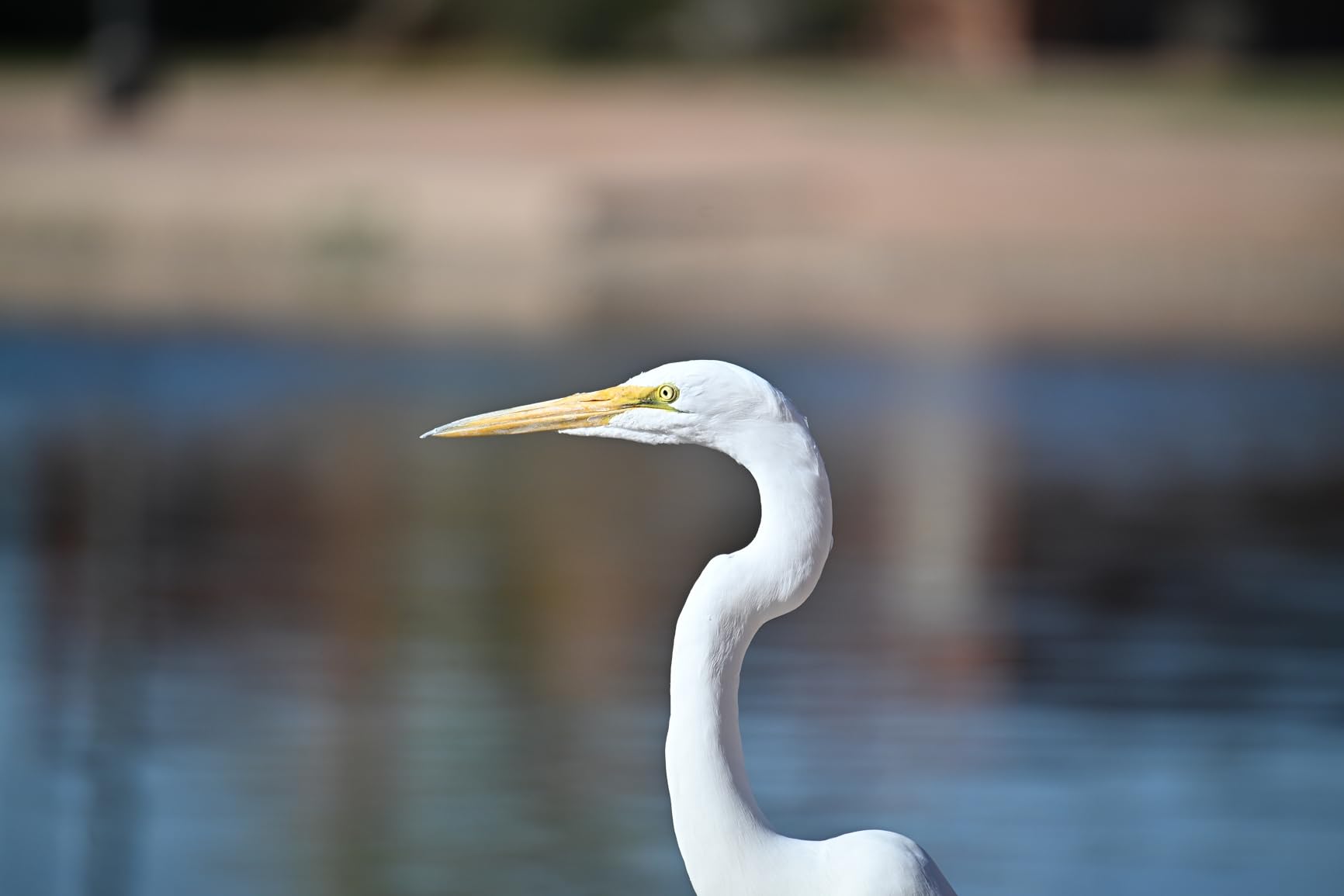 Tamron 100-400mm 4/4.5-6.3 Di VC USD Ultra Silent Drive Zoom Lens for Nikon DSLR's (International Version) customer photo 1