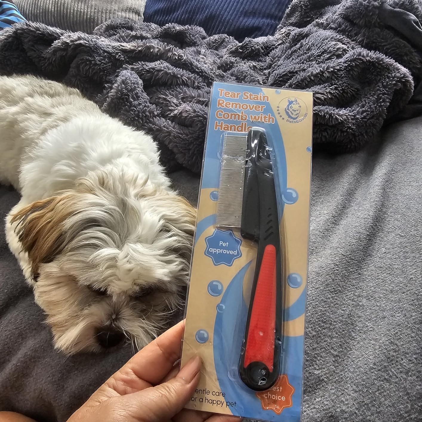 Pets&Goods Tear Stain & Flea Remover Comb Set for Dogs & Cats – Stainless Steel Eye Grooming Tool for Stains, Crust & Mucus – Gentle, Safe, Reusable – Pack of 2 customer photo 1