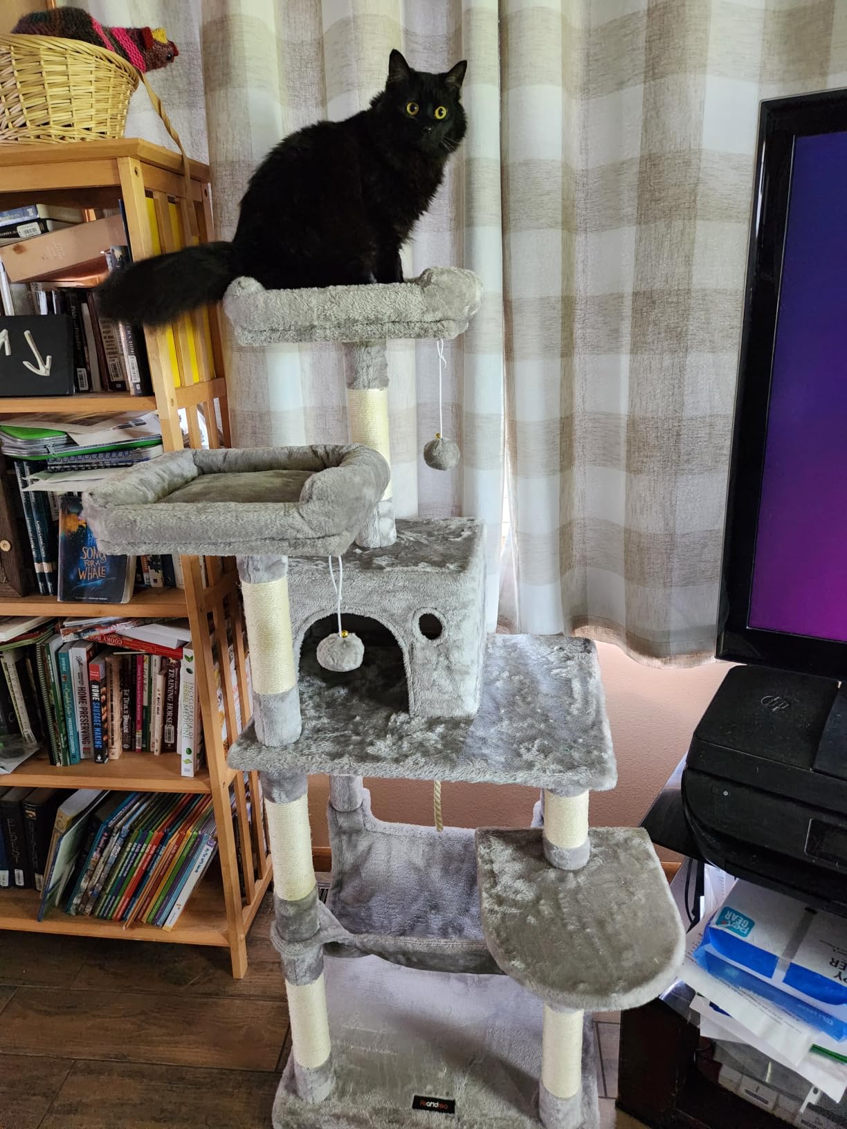 Feandrea Cat Tree, 55.8-Inch Large Cat Tower, Multi-Level Condo, Light Gray customer photo 1