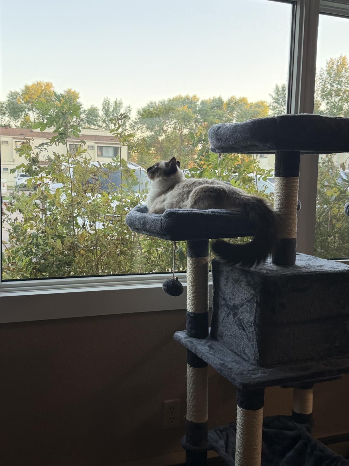 Feandrea Cat Tree, 55.8-Inch Large Cat Tower, Multi-Level Condo, Light Gray customer photo 2