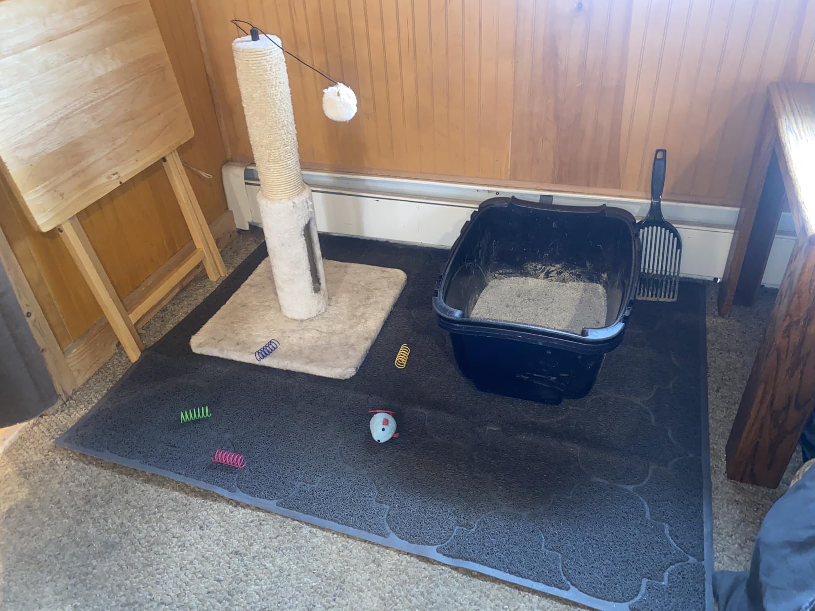 LittleTiger Cat Litter Mat, XL Super Size, Phthalate Free, Easy to Clean, 46x35 Inches, Durable, Soft on Paws, Large Litter Mat. customer photo 1