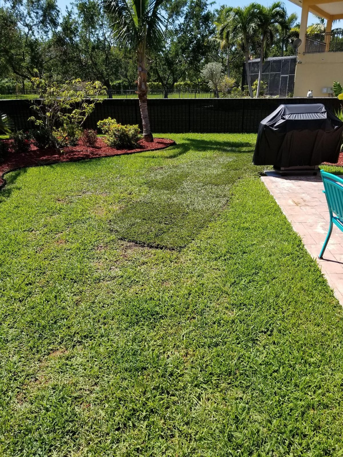 Keyfit Tools SOD Knife Professional Contractor Grade 304 Stainless Steel Blade Sod Cutter Trim New Sod Edging Beds Overgrown Valve Box Sprinkler Heads Like Hunter PGP Raise Repair Remove Sprinklers customer photo 2