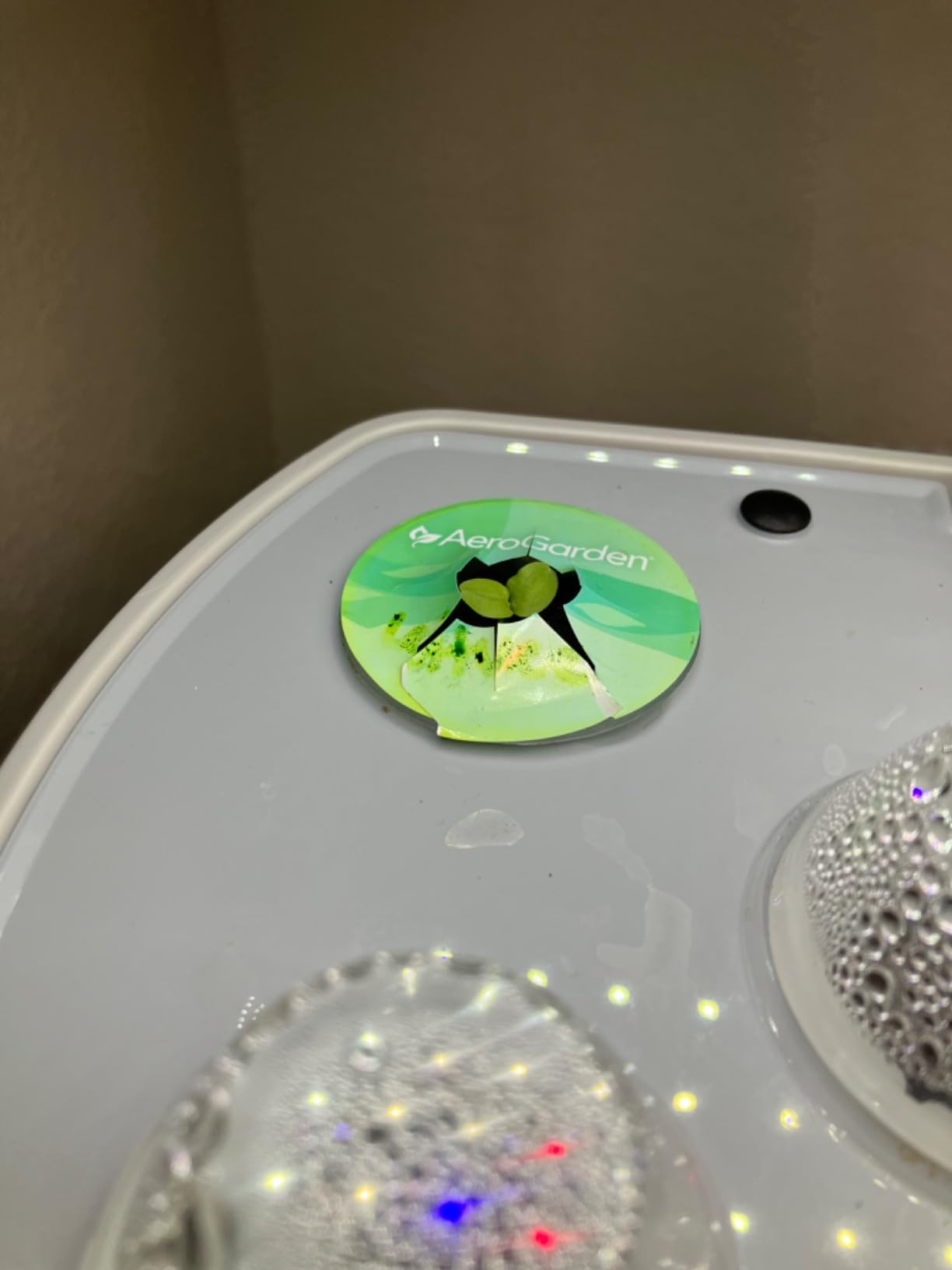 AeroGarden Harvest Elite, Stainless Steel customer photo 2