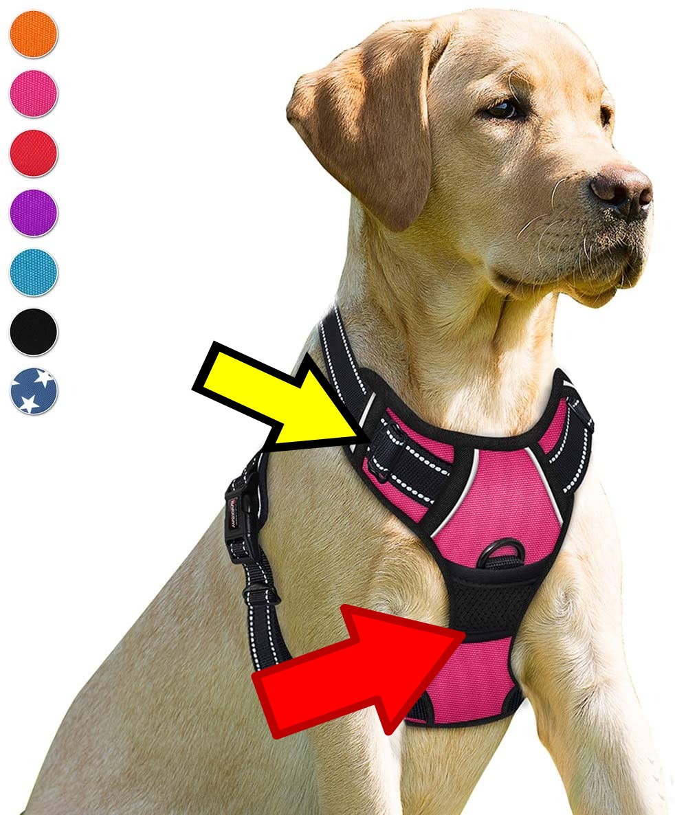 BARKBAY Dog Harness No Pull for Large Dogs Front Back Clips,Dog Vest customer photo 2