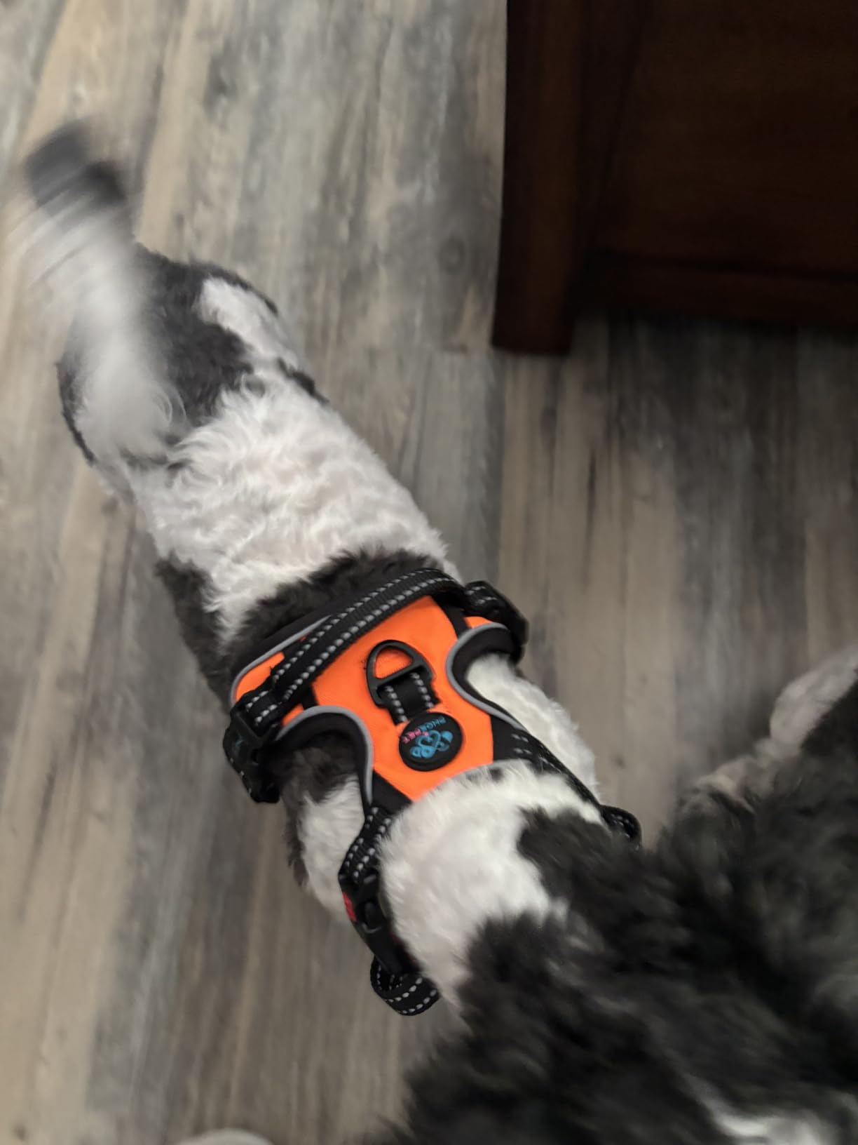 PHOEPET Reflective Dog Harness Large Breed Adjustable No Pull Vest customer photo 1