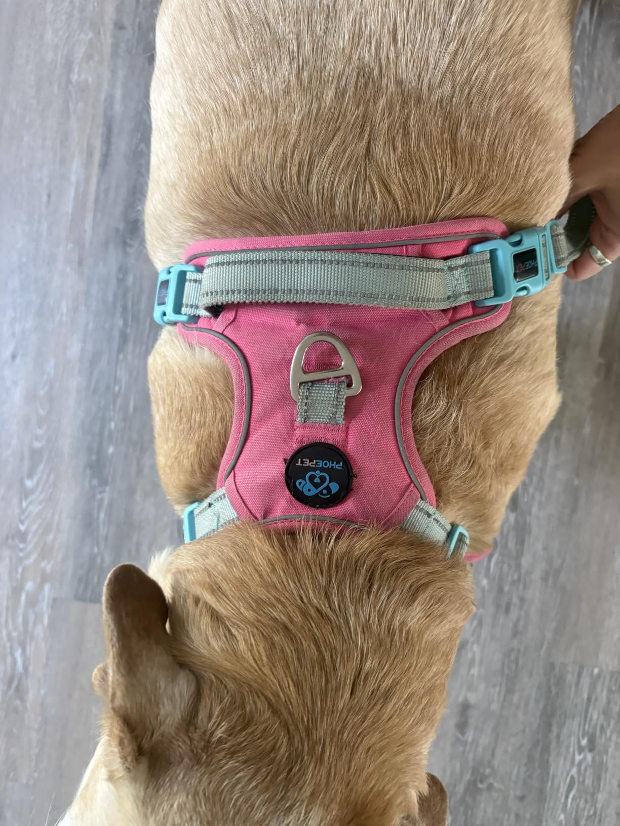 PHOEPET Reflective Dog Harness Large Breed Adjustable No Pull Vest customer photo 2