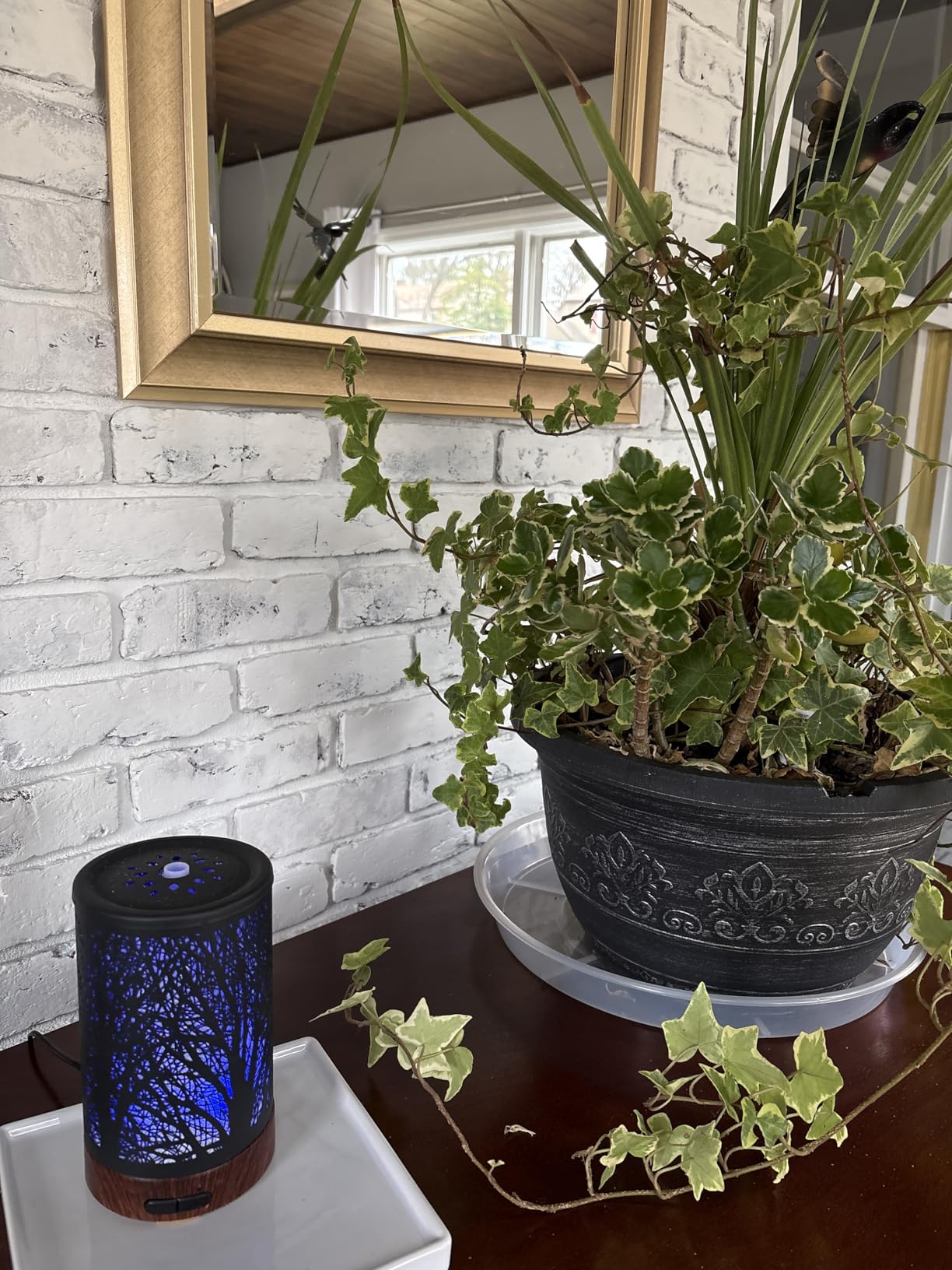 EQUSUPRO Essential Oil Diffuser for Home Fragrance & Aromatherapy 150ml customer photo 1