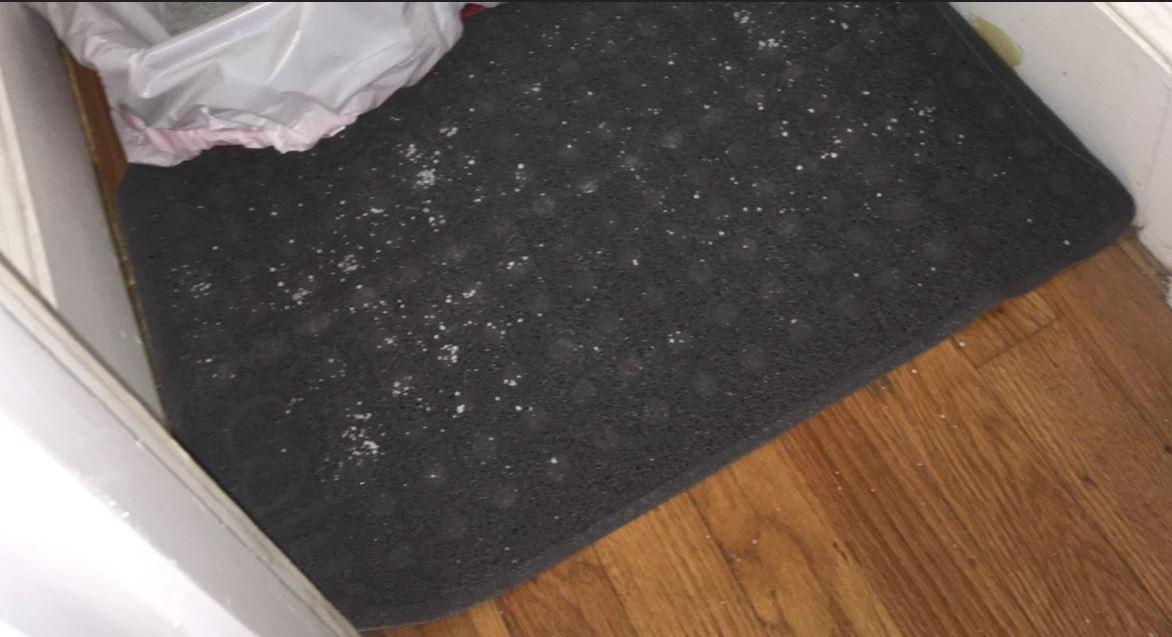 Catit Cat Litter Mat Rectangle Non-Slip Litter Trapping Mat Soft customer photo 1