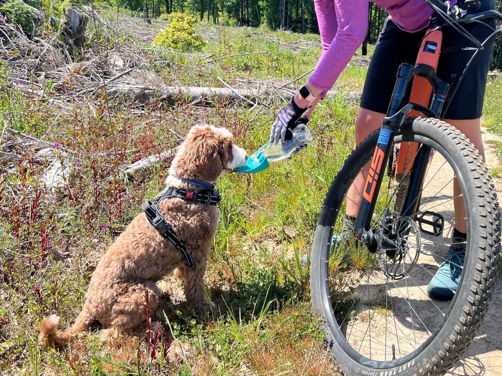 TIOVERY Dog Water Bottle for Walking, Pet Water Dispenser Feeder Container Portable with Drinking Cup Bowl Outdoor Hiking, Travel for Puppy, Cats, Hamsters, Rabbits and Other Small Animals 20 OZ customer photo 1